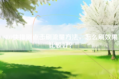 SEO快排刷点击刷流量方法，怎么刷效果比较好？