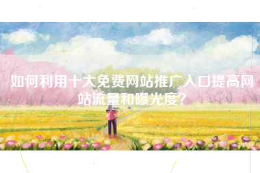 如何利用十大免费网站推广入口提高网站流量和曝光度？