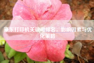 京东打印机关键词排名，影响因素与优化策略