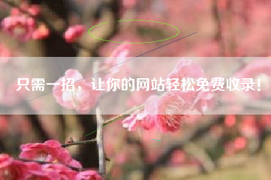 只需一招，让你的网站轻松免费收录！