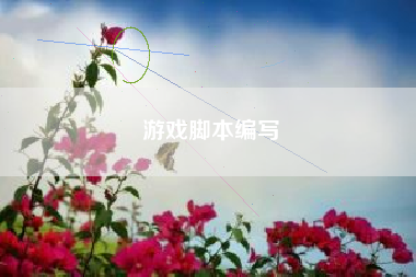 游戏脚本编写