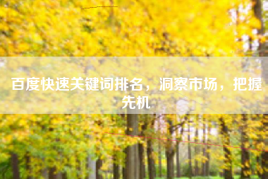 百度快速关键词排名，洞察市场，把握先机