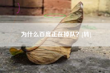 为什么百度正在掉队？[转]