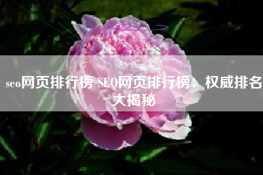 seo网页排行榜 SEO网页排行榜：权威排名大揭秘