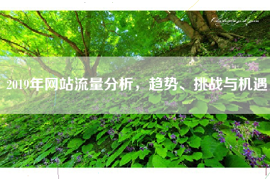 2019年网站流量分析，趋势、挑战与机遇