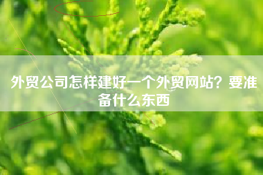 外贸公司怎样建好一个外贸网站？要准备什么东西