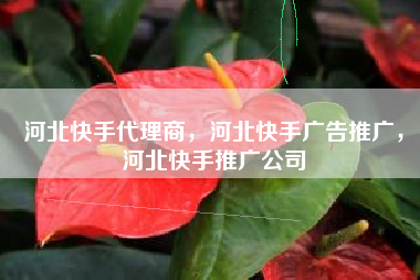 河北快手代理商，河北快手广告推广，河北快手推广公司