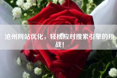 沧州网站优化，轻松应对搜索引擎的挑战！
