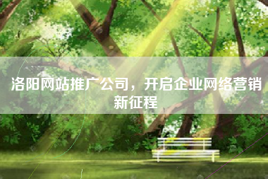 洛阳网站推广公司，开启企业网络营销新征程