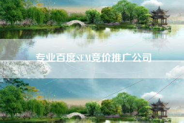 专业百度SEM竞价推广公司