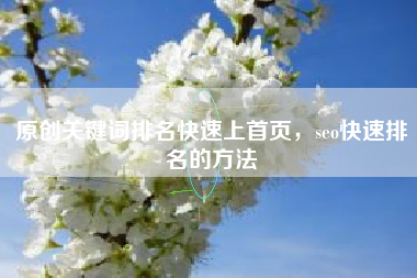 原创关键词排名快速上首页，seo快速排名的方法