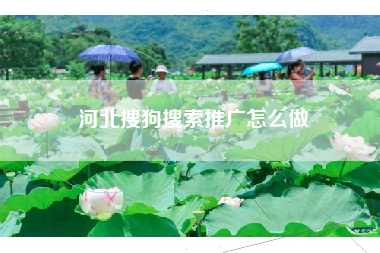 河北搜狗搜索推广怎么做