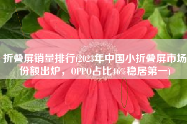 折叠屏销量排行(2023年中国小折叠屏市场份额出炉，OPPO占比46%稳居第一)