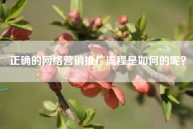 正确的网络营销推广流程是如何的呢？