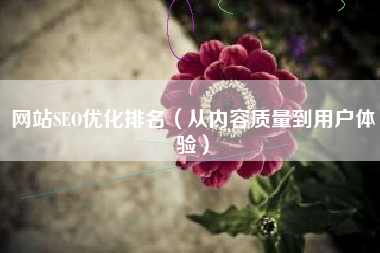 网站SEO优化排名（从内容质量到用户体验）