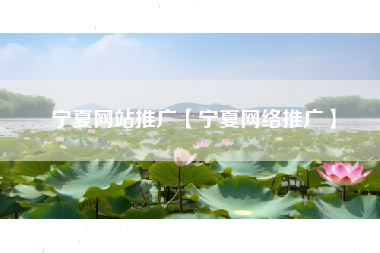 宁夏网站推广【宁夏网络推广】