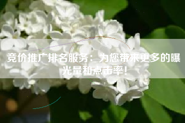竞价推广排名服务：为您带来更多的曝光量和点击率！