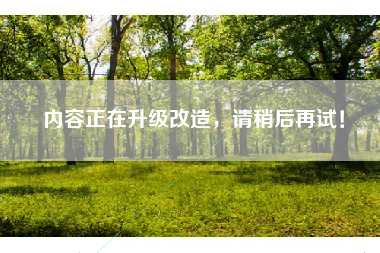 内容正在升级改造，请稍后再试！