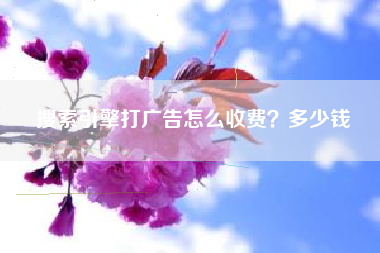 搜索引擎打广告怎么收费？多少钱