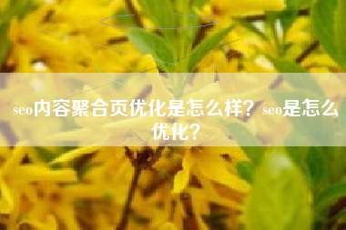seo内容聚合页优化是怎么样？seo是怎么优化？