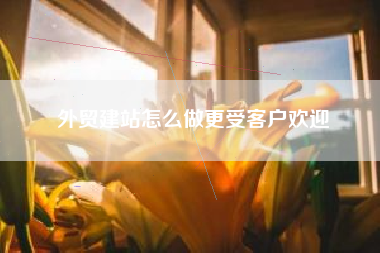 外贸建站怎么做更受客户欢迎