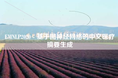 EMNLP2020 - 基于图神经网络的中文医疗摘要生成
