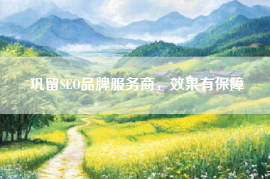 巩留SEO品牌服务商，效果有保障