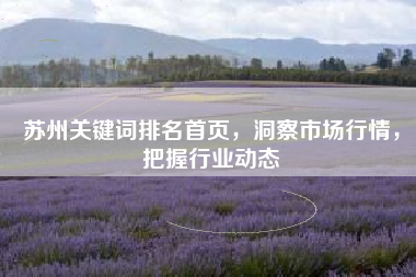 苏州关键词排名首页，洞察市场行情，把握行业动态