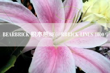 BEARBRICK 积木熊BE@RBRICK LINUS 1000％