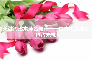 关键词搜索排名提升——百度快速排名，抢占先机！