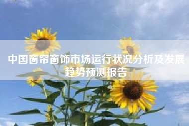 中国窗帘窗饰市场运行状况分析及发展趋势预测报告