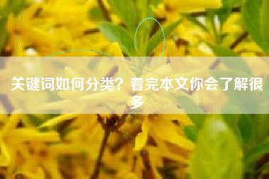 关键词如何分类？看完本文你会了解很多