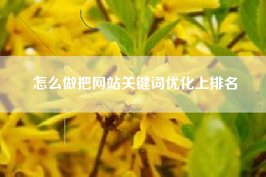 怎么做把网站关键词优化上排名