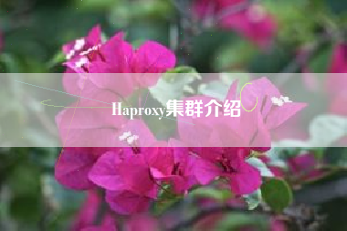 Haproxy集群介绍