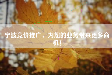 宁波竞价推广，为您的业务带来更多商机！