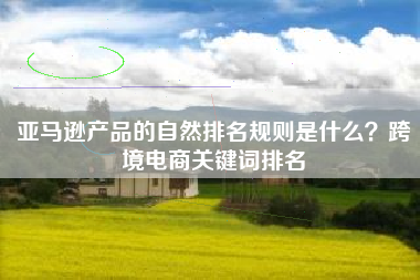 亚马逊产品的自然排名规则是什么？跨境电商关键词排名