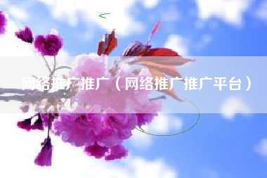 网络推广推广（网络推广推广平台）