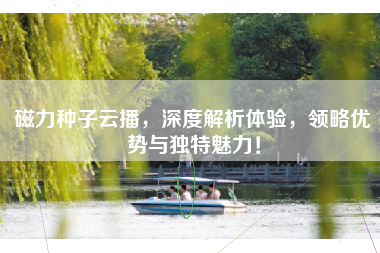 磁力种子云播，深度解析体验，领略优势与独特魅力！