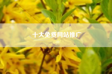 十大免费网站推广