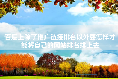 百度上除了推广链接排名以外要怎样才能将自己的网站排名排上去