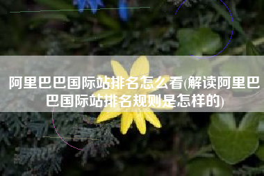 阿里巴巴国际站排名怎么看(解读阿里巴巴国际站排名规则是怎样的)