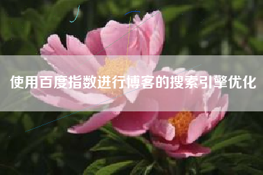 使用百度指数进行博客的搜索引擎优化