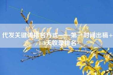 代发关键词排名方式——第一时间出稿+1-3天收录排名