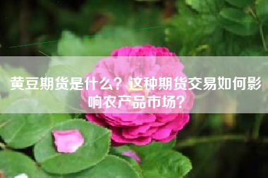黄豆期货是什么？这种期货交易如何影响农产品市场？