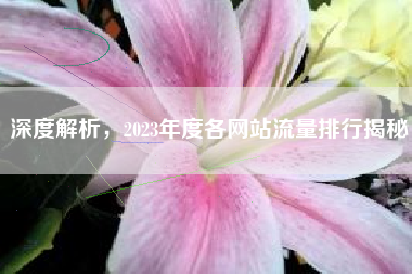 深度解析，2023年度各网站流量排行揭秘