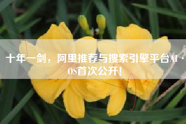 十年一剑，阿里推荐与搜索引擎平台AI·OS首次公开！