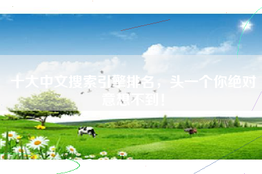 十大中文搜索引擎排名，头一个你绝对意想不到！