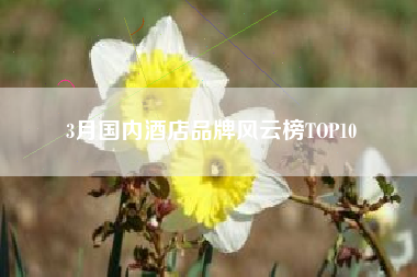 3月国内酒店品牌风云榜TOP10