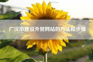 广汉市建设外贸网站的方法和步骤