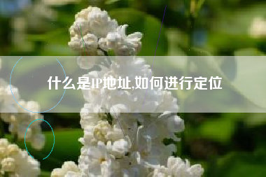 什么是IP地址,如何进行定位